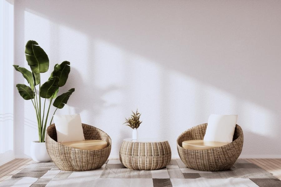 salon lumineux avec fauteuils en rotin et plante verte évoquant un mur végétal d’intérieur