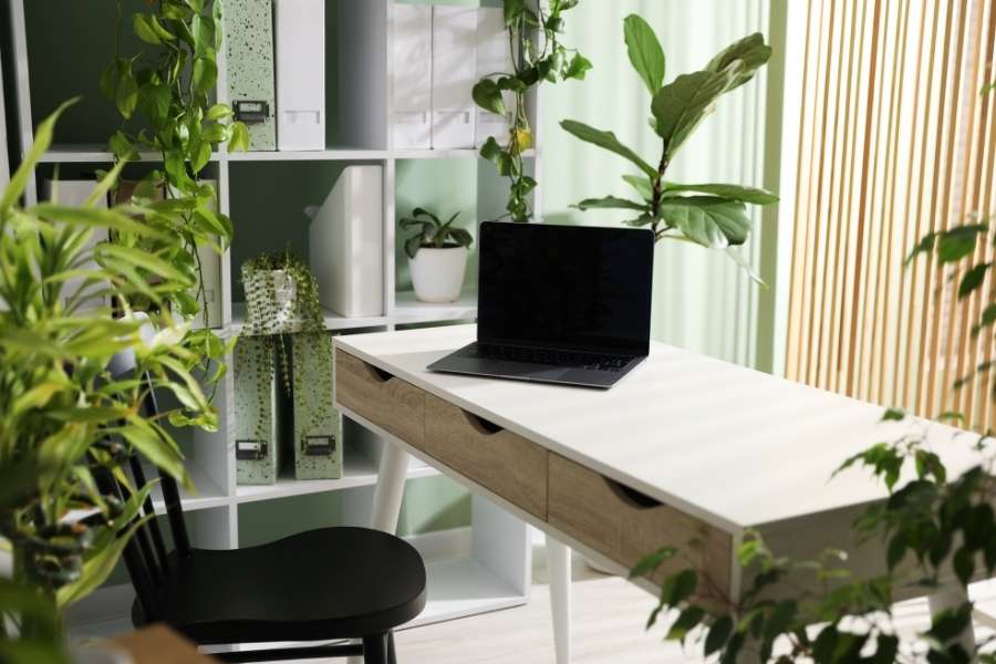 Bureau moderne avec plantes vertes illustrant design biophilique intérieur workspace