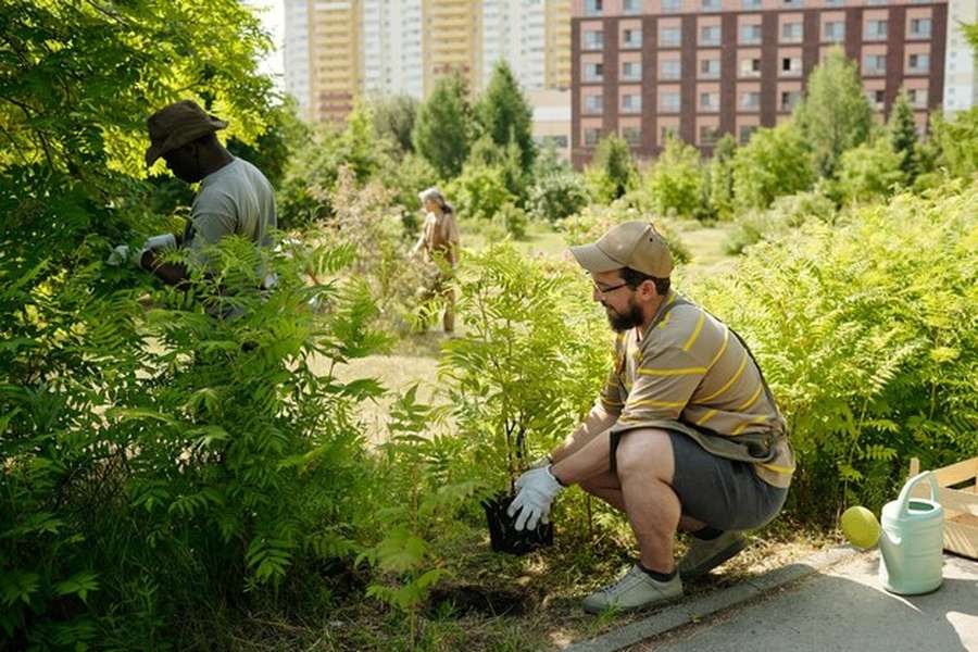 Étudiants en formation btsa aménagement paysager plantant de nouveaux arbustes dans un parc urbain.