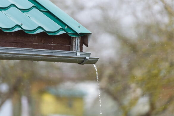 Eau de pluie qui s'écoule d'une section de gouttieres métalliques installées sur le toit vert d'un abri de jardin.